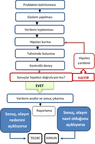 Bilimsel Araştırma Yöntemleri